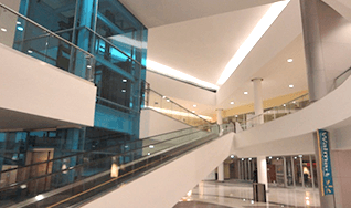 Terminados y colores